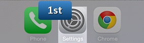 How to change DNS in iOS